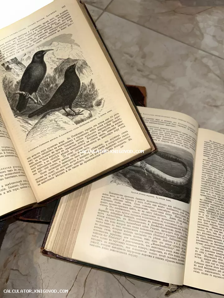 Две открытые антикварные книги с черно-белыми иллюстрациями птиц и земноводного, напечатанные на дореволюционном русском языке.