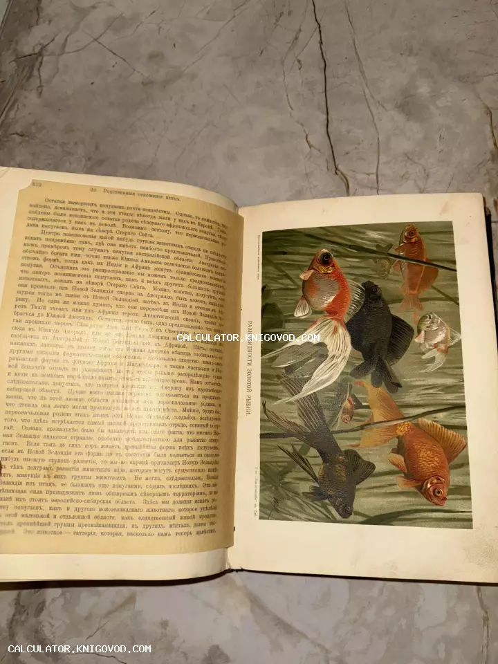 Разворот старинной книги с дореволюционным шрифтом и цветной иллюстрацией, изображающей золотых рыбок разных пород в воде.