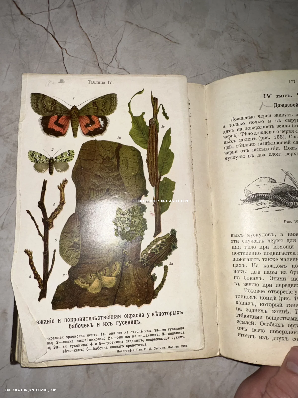 Разворот антикварной книги с цветной литографией, изображающей маскировку бабочек и гусениц на фоне древесной коры и листьев.