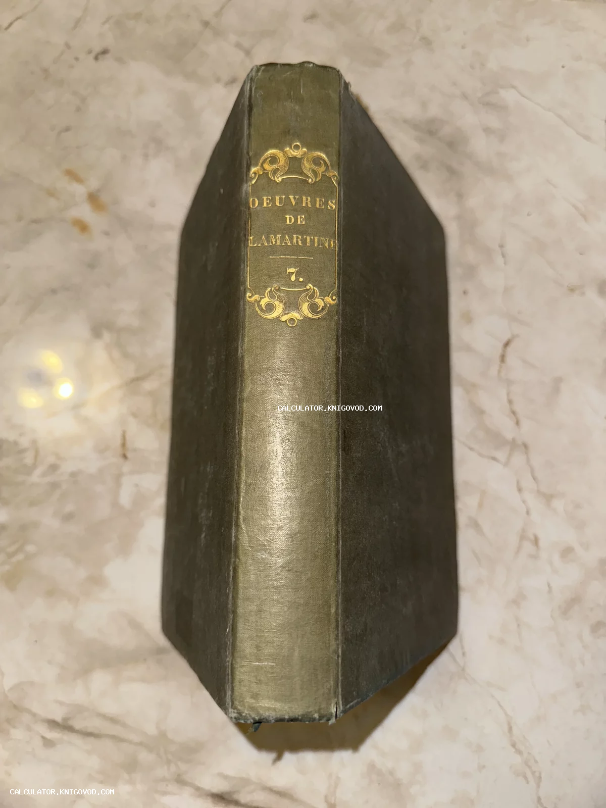 Корешок антикварной книги с золотым тиснением Oeuvres de Lamartine на фоне мраморной поверхности.