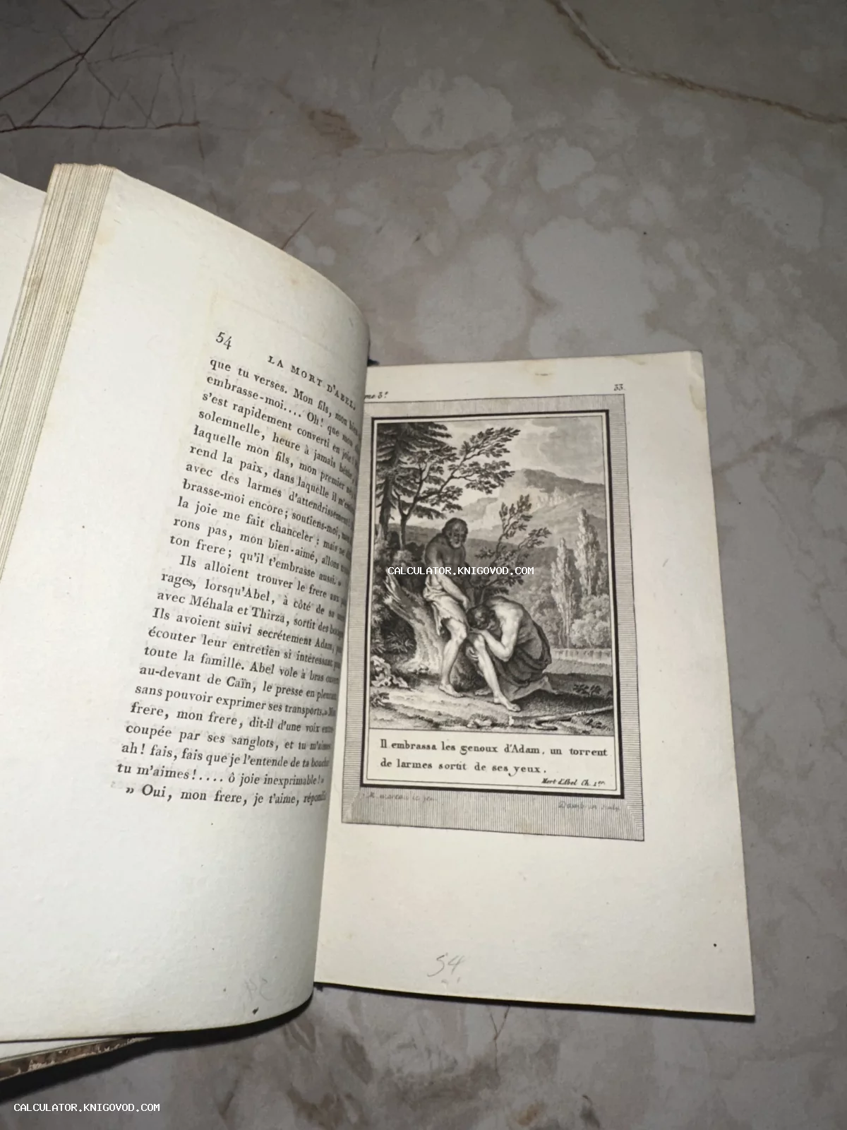 Разворот старинной книги на французском языке с гравированной иллюстрацией библейского сюжета «Смерть Авеля».