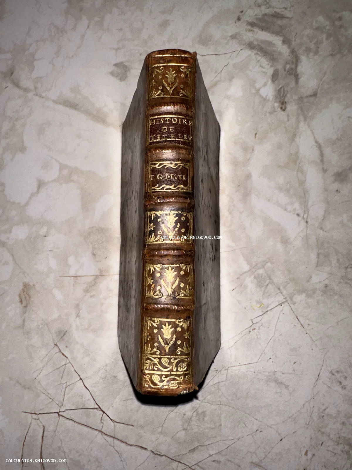 Корешок старинной книги в коричневом кожаном переплете с золотым растительным орнаментом и надписью Histoire de l'Italie Tom VII.