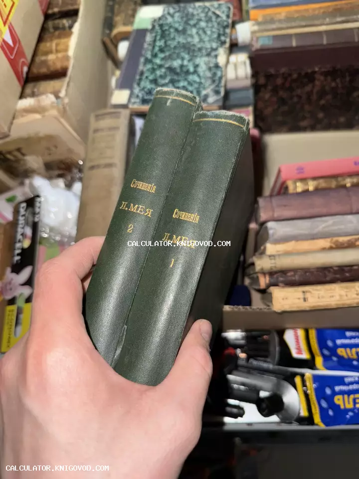 Две старинные книги в темно-зеленом переплете с золотым тиснением на корешках: Сочинения Л. Мея, тома 1 и 2.