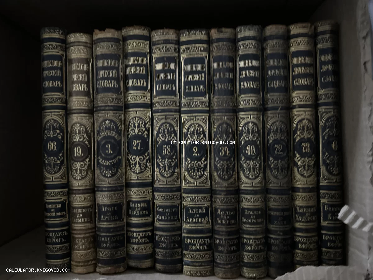 Ряд старинных томов Энциклопедического словаря Брокгауза и Ефрона в темных кожаных переплетах с золотым тиснением на полке