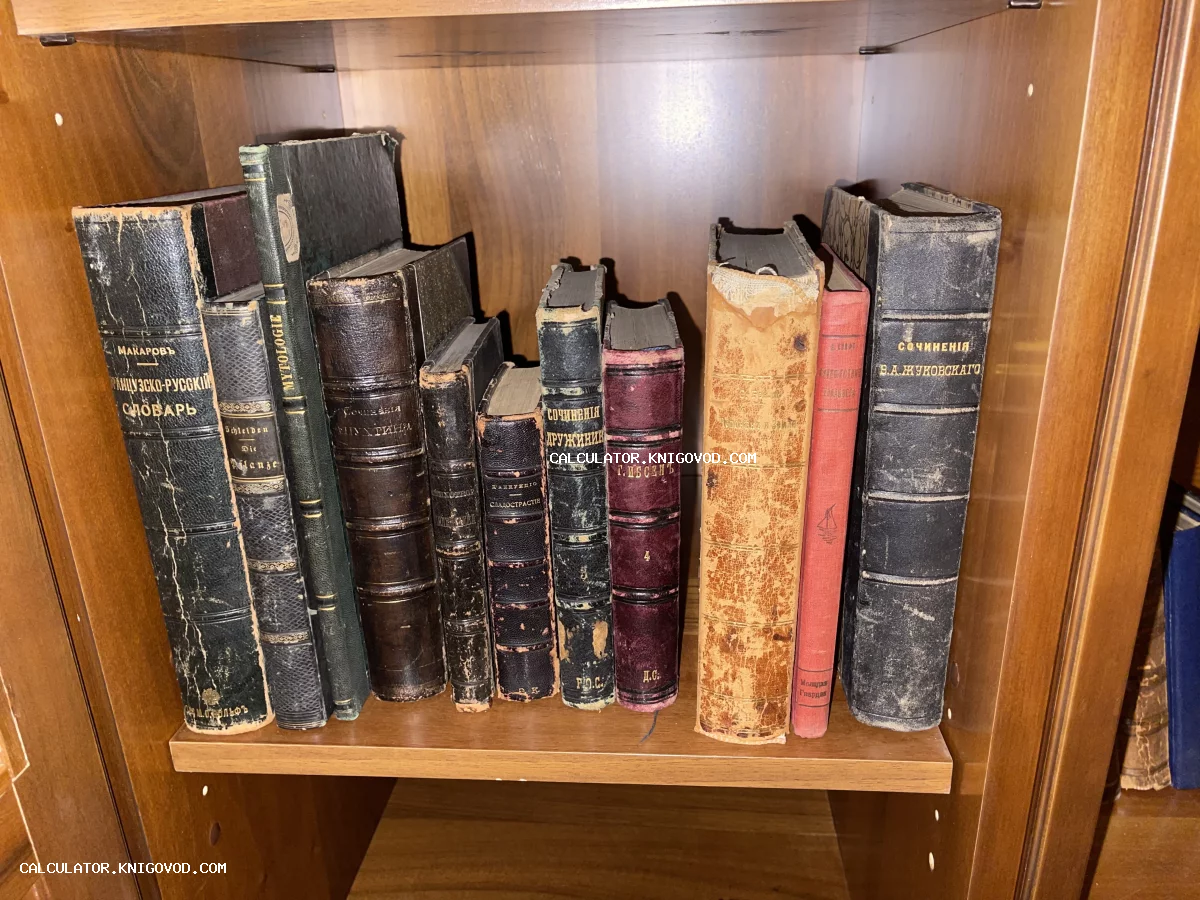 Ряд старинных книг в потертых кожаных и тканевых переплетах с золотым тиснением на деревянной полке.