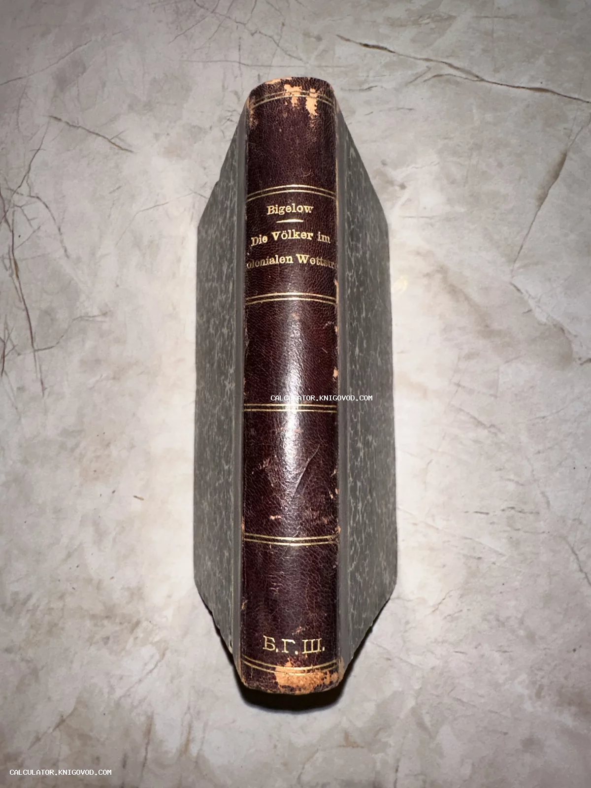 Корешок старинной книги в кожаном переплете с золотым тиснением названия на немецком языке.