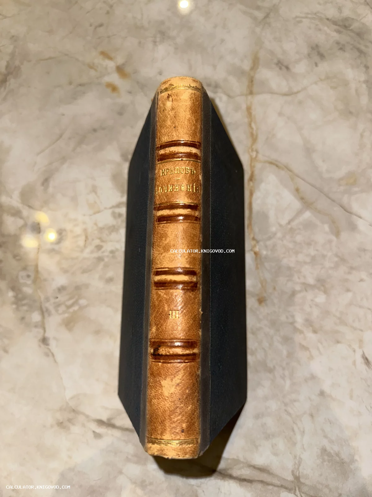 Корешок антикварной книги Ивана Крылова с золотым тиснением и бинтами на кожаном переплете.