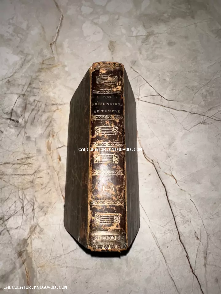Корешок старинной книги в кожаном переплете с золотым тиснением Les Prisonniers du Temple на фоне мраморной поверхности.