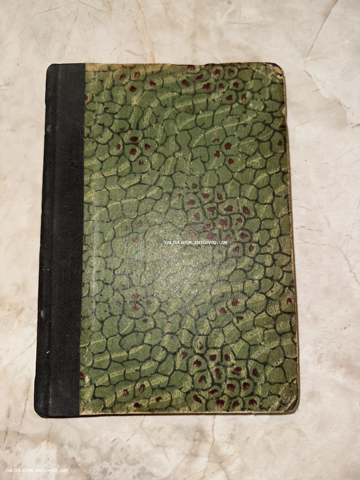 Обложка старинной книги с зеленым мраморным или чешуйчатым узором и черным тканевым корешком на светлом фоне.