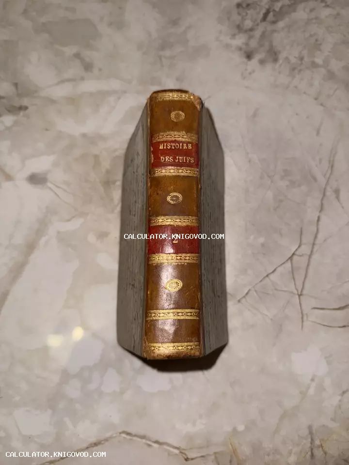 Корешок старинной книги в кожаном переплете с золотым тиснением и названием Histoire des Juifs, том 2.