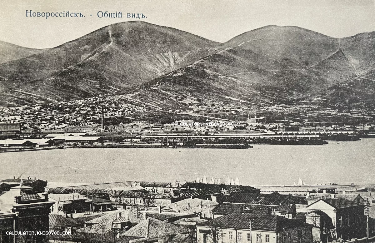 Старинная черно-белая фотография с панорамой дореволюционного Новороссийска, портом и Кавказскими горами.