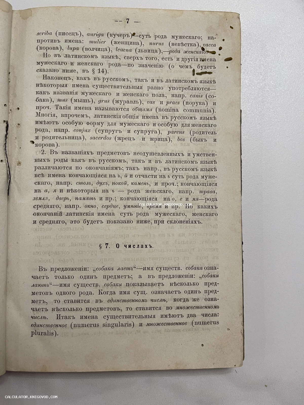 Страница дореволюционной книги с правилами латинского языка, напечатанная шрифтом с использованием ятей и ижиц.