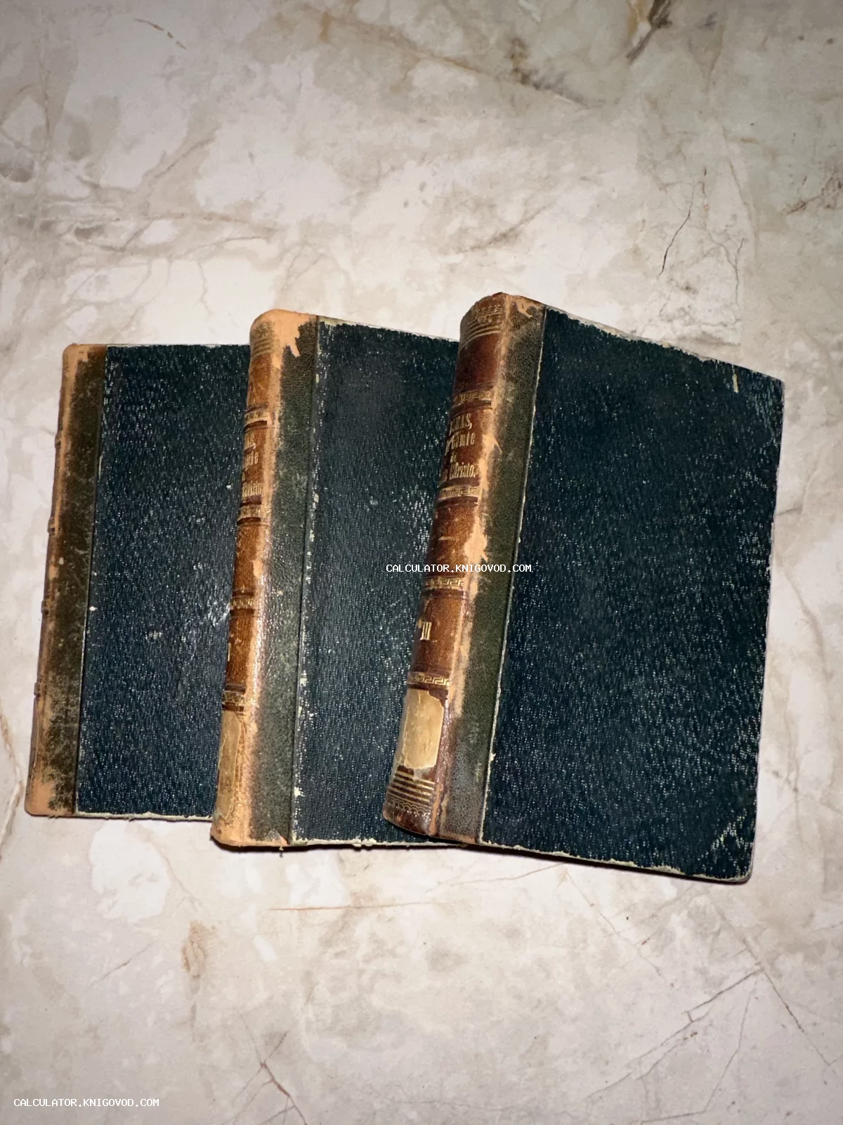 Три антикварных тома с потертыми кожаными корешками и золотым тиснением на светлой мраморной поверхности.