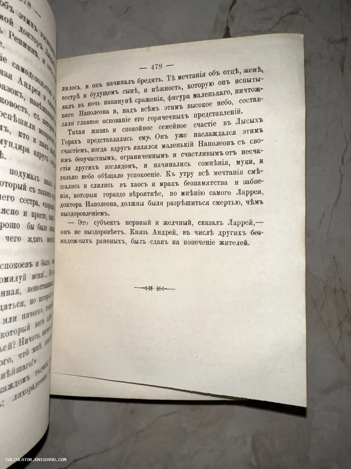 Разворот старинной книги с текстом на дореволюционном русском языке, страница 479 с описанием мыслей князя Андрея.