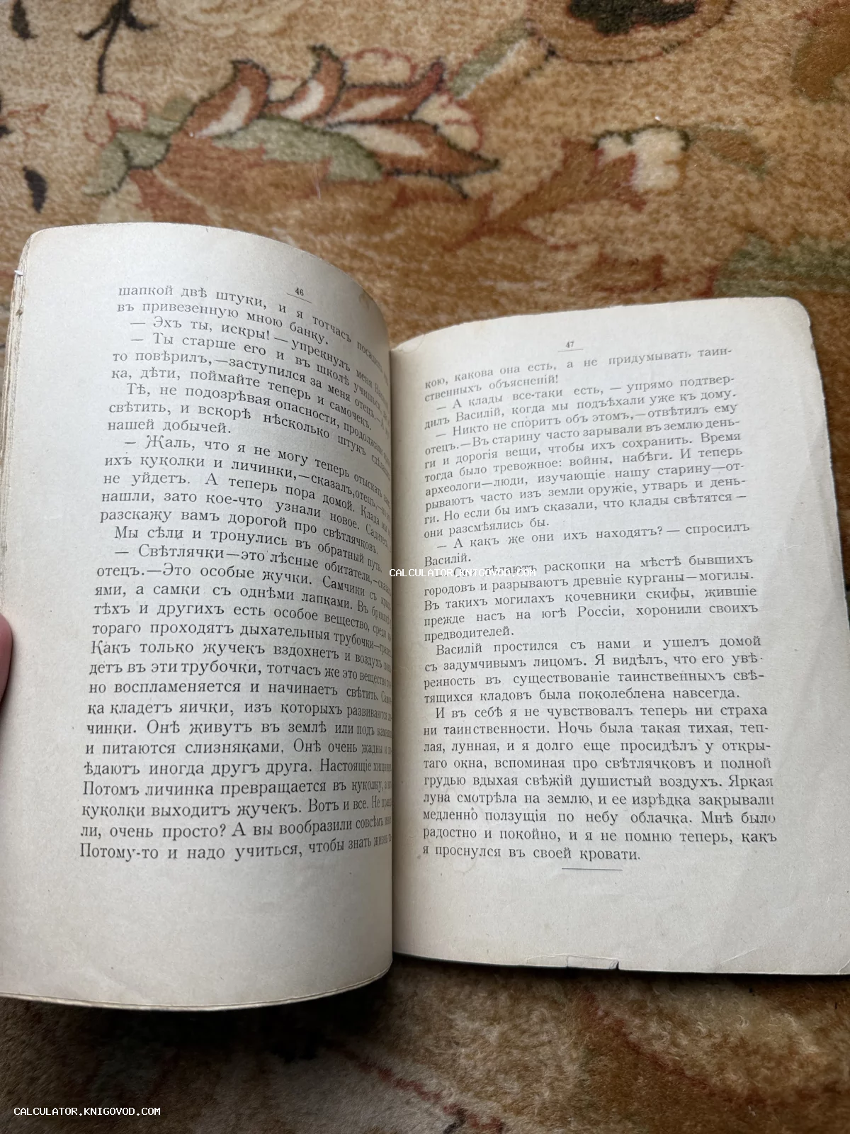 Разворот старой книги на страницах 46 и 47 с текстом на русском языке в дореволюционной орфографии на фоне ковра.