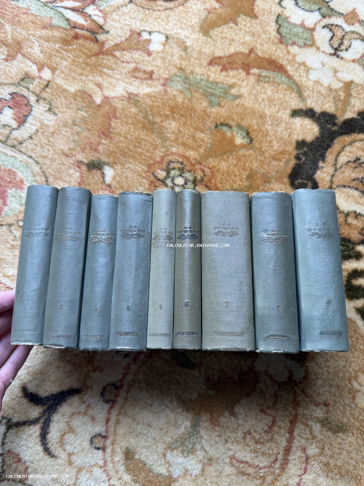 Девять томов собрания сочинений А. С. Пушкина в серых тканевых переплетах издательства Academia на фоне ковра.