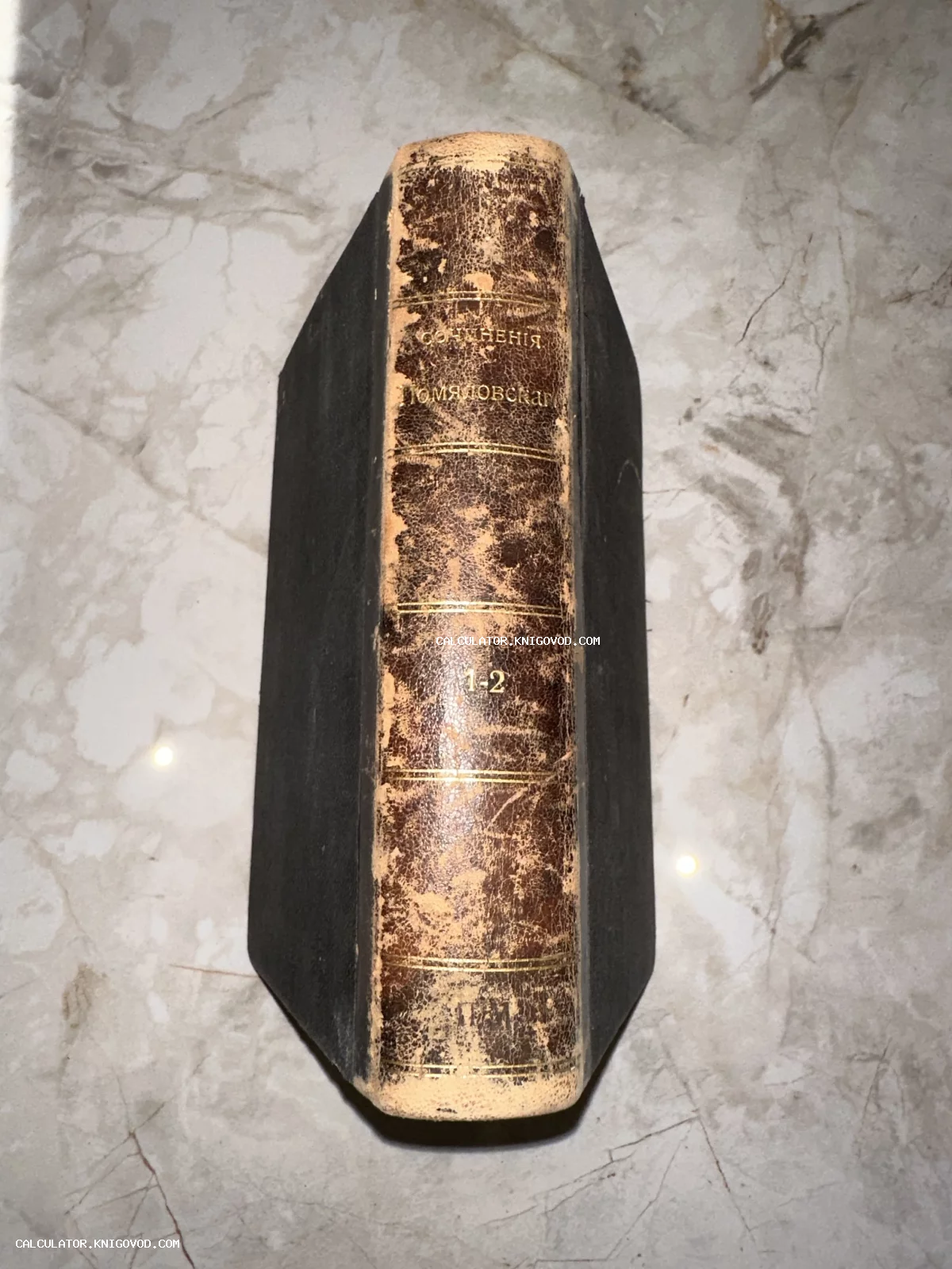 Корешок антикварной книги с надписью Сочинения Помяловского, тома 1-2, золотое тиснение на старой коже.