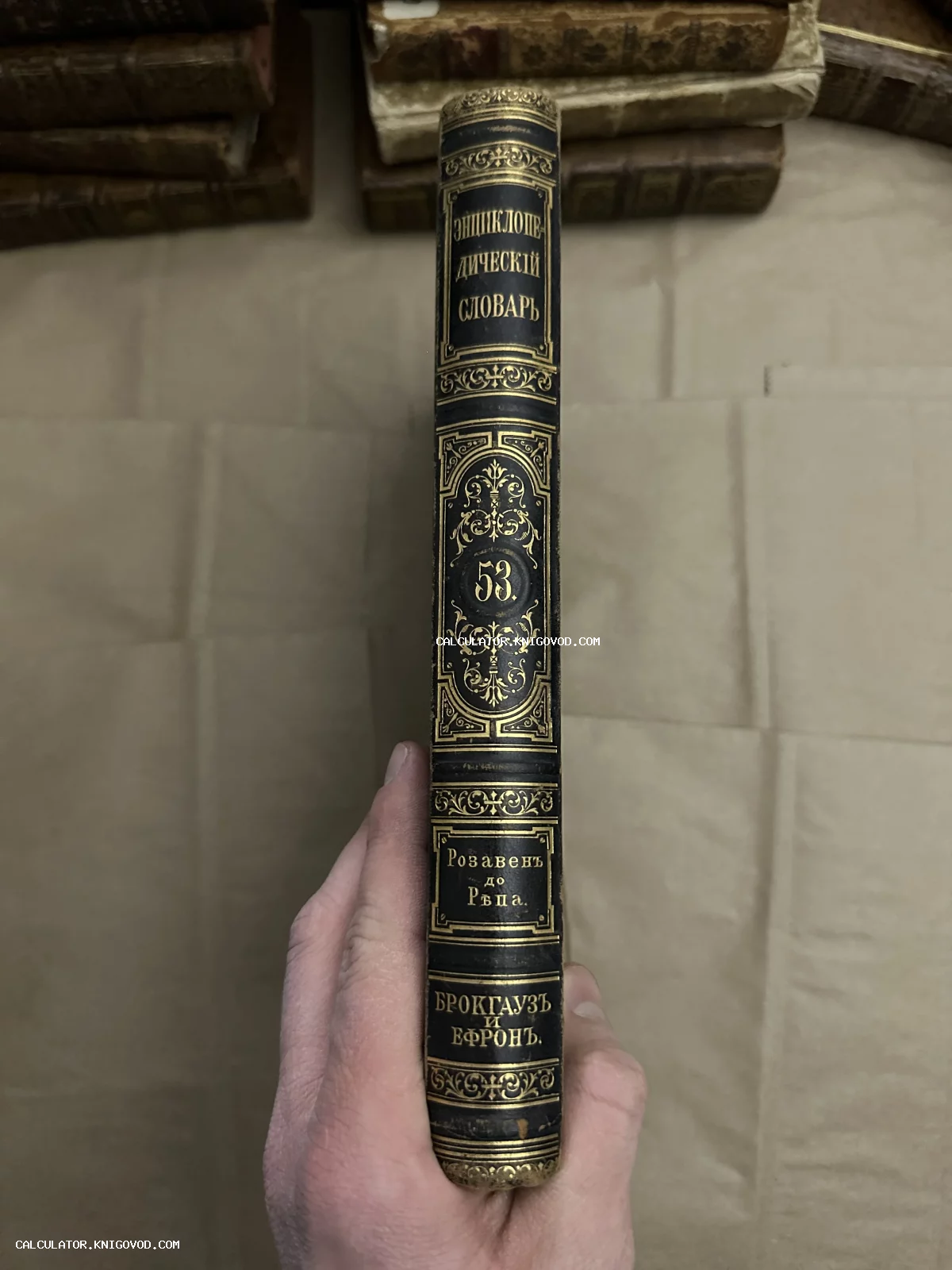 Вид на корешок антикварной книги в черном кожаном переплете с золотым тиснением и надписью Брокгауз и Ефрон.