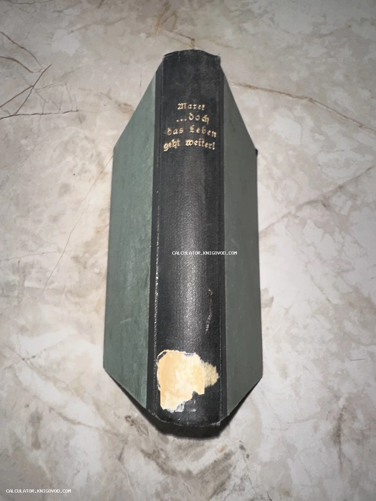 Корешок старинной книги в черном переплете с золотым тиснением на немецком языке на мраморном фоне.