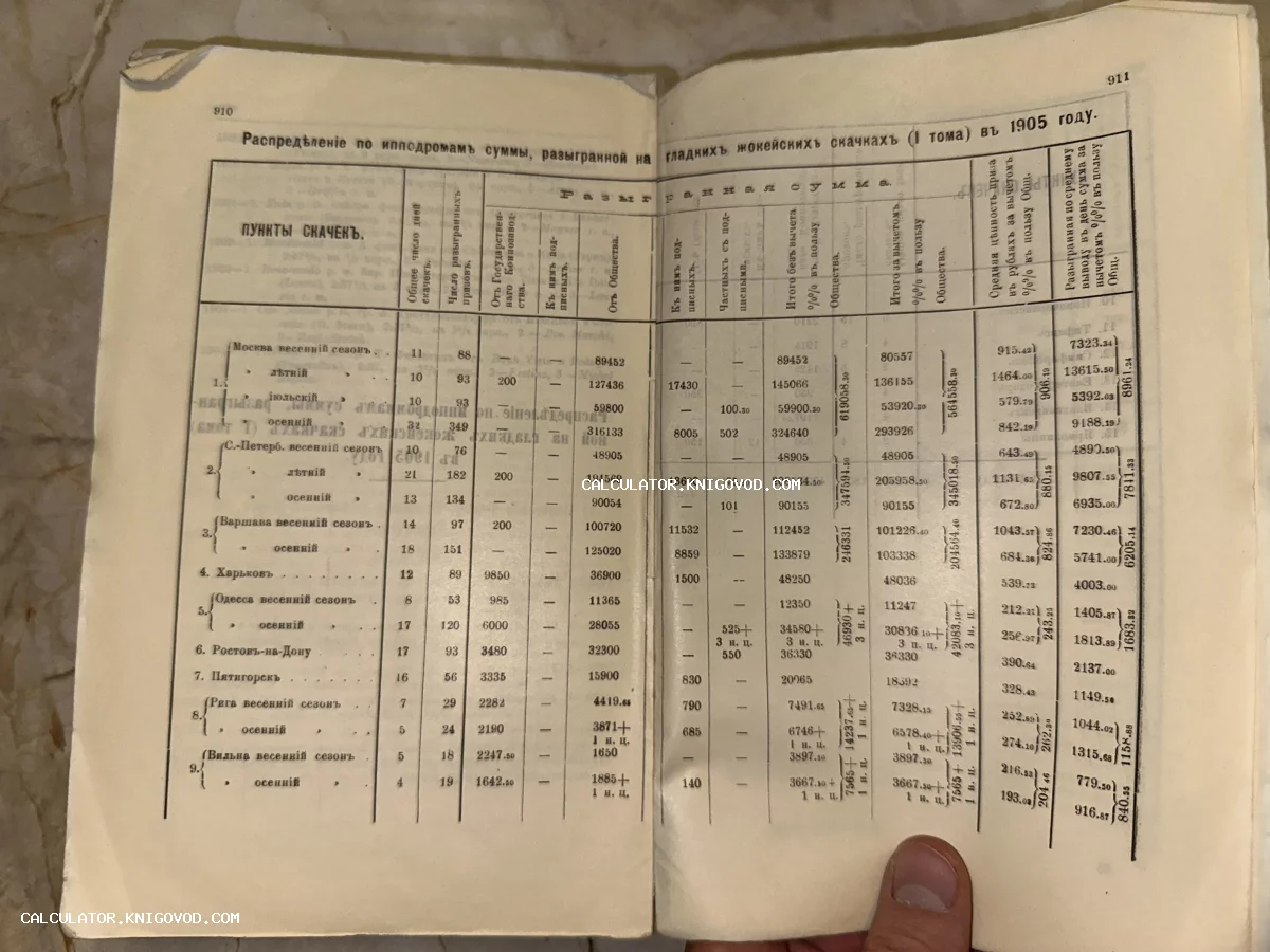 Разворот старинной книги со статистической таблицей распределения призовых сумм на ипподромах Российской империи в 1905 году.