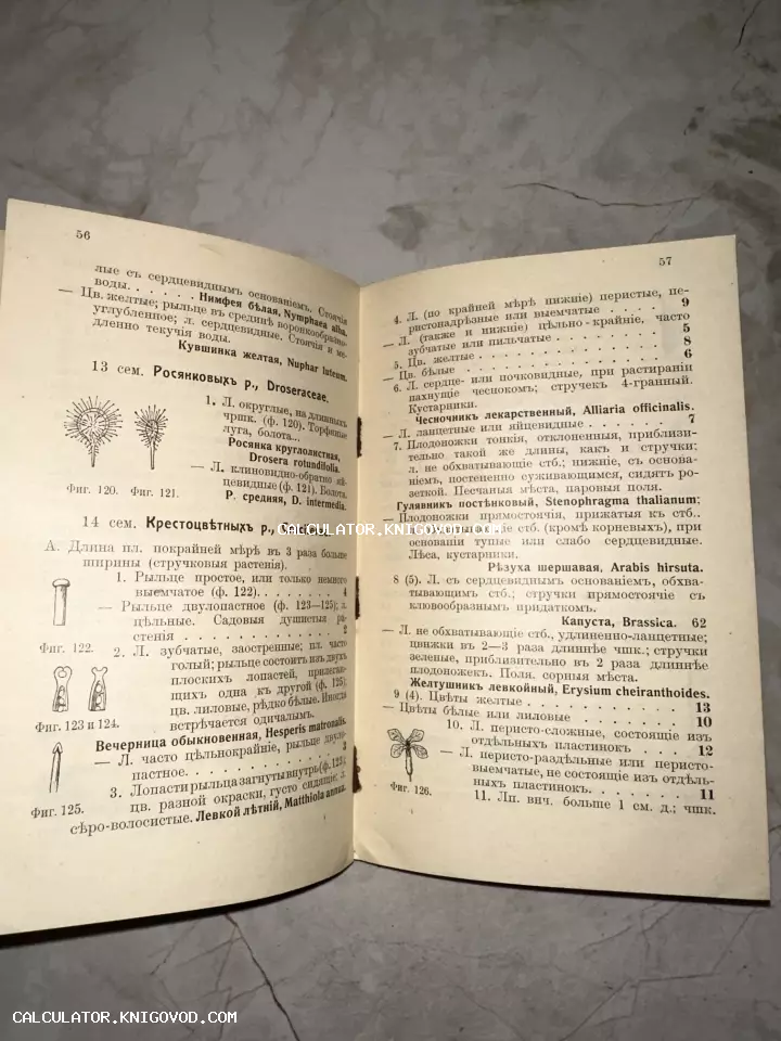 Разворот антикварной книги по ботанике с описанием семейств Росянковых и Крестоцветных, дополненный схематичными иллюстрациями.