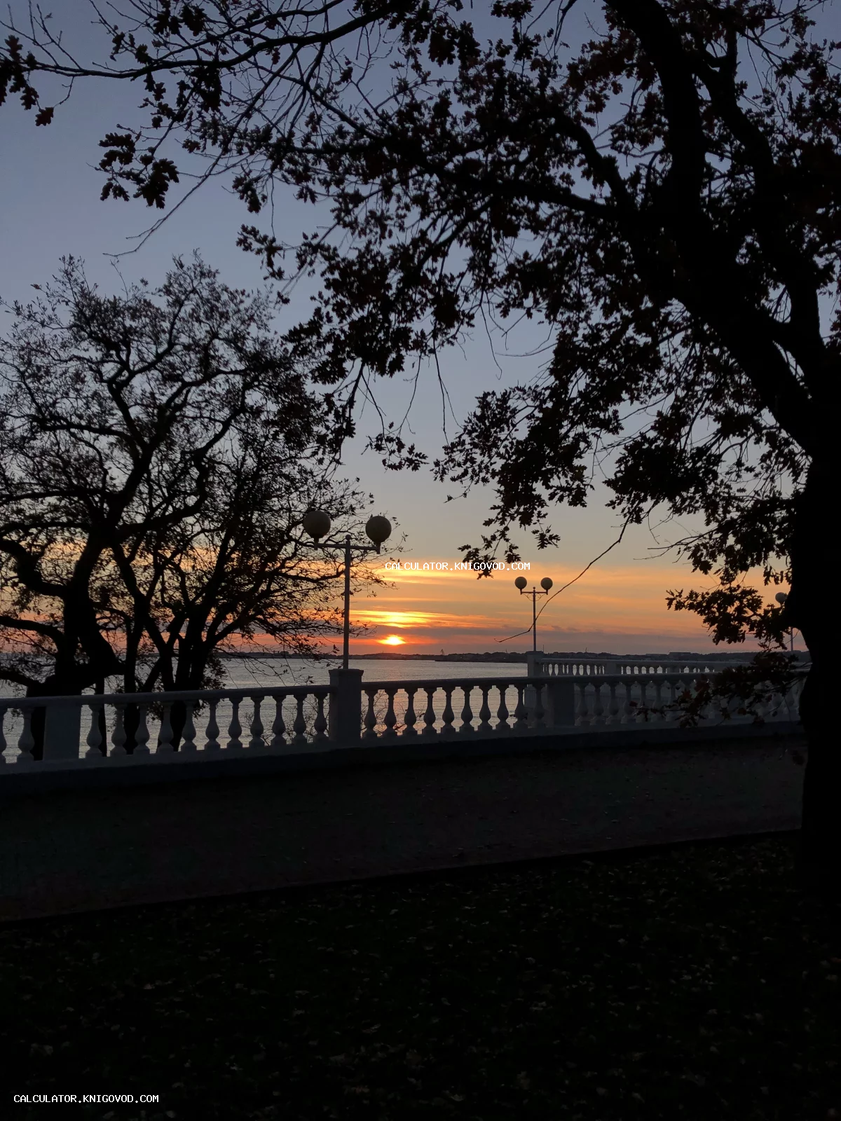Силуэты деревьев и классическая белая балюстрада на фоне оранжевого заката над водной гладью.