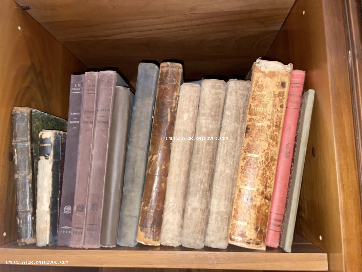 Ряд антикварных книг в старых переплетах на деревянной полке, включая тома Капитала Маркса и произведения Диккенса.