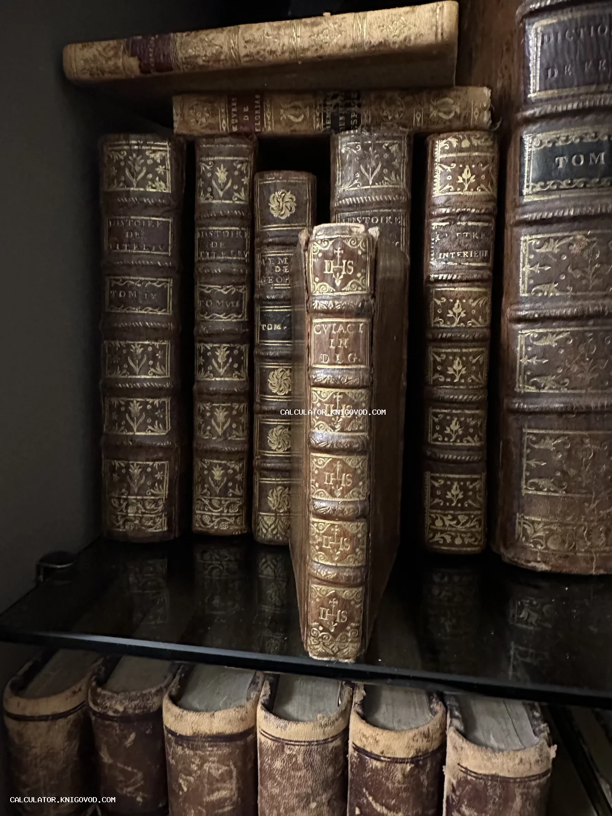 Ряд антикварных книг с золотым тиснением и орнаментами на кожаных корешках, стоящих на полке.