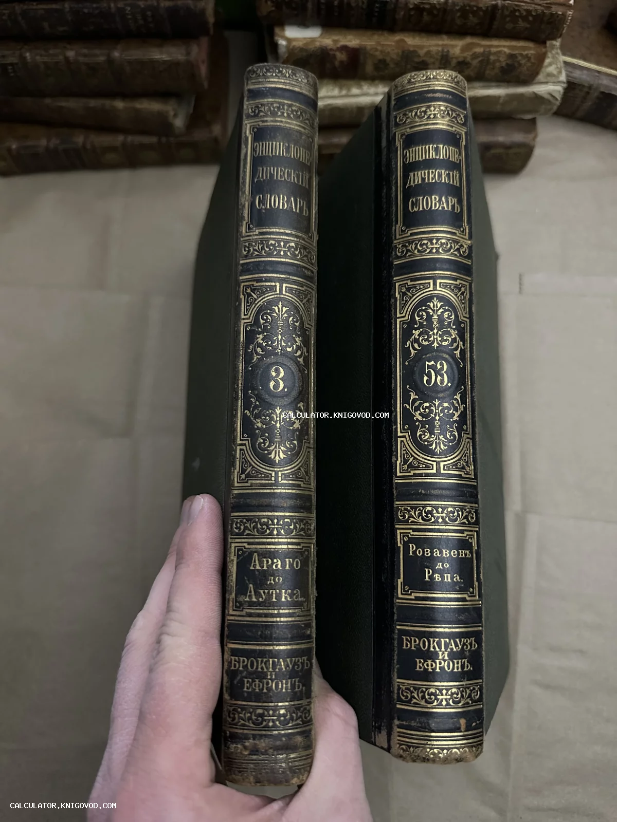 Корешки двух томов антикварного издания словаря Брокгауза и Ефрона с золотым тиснением.