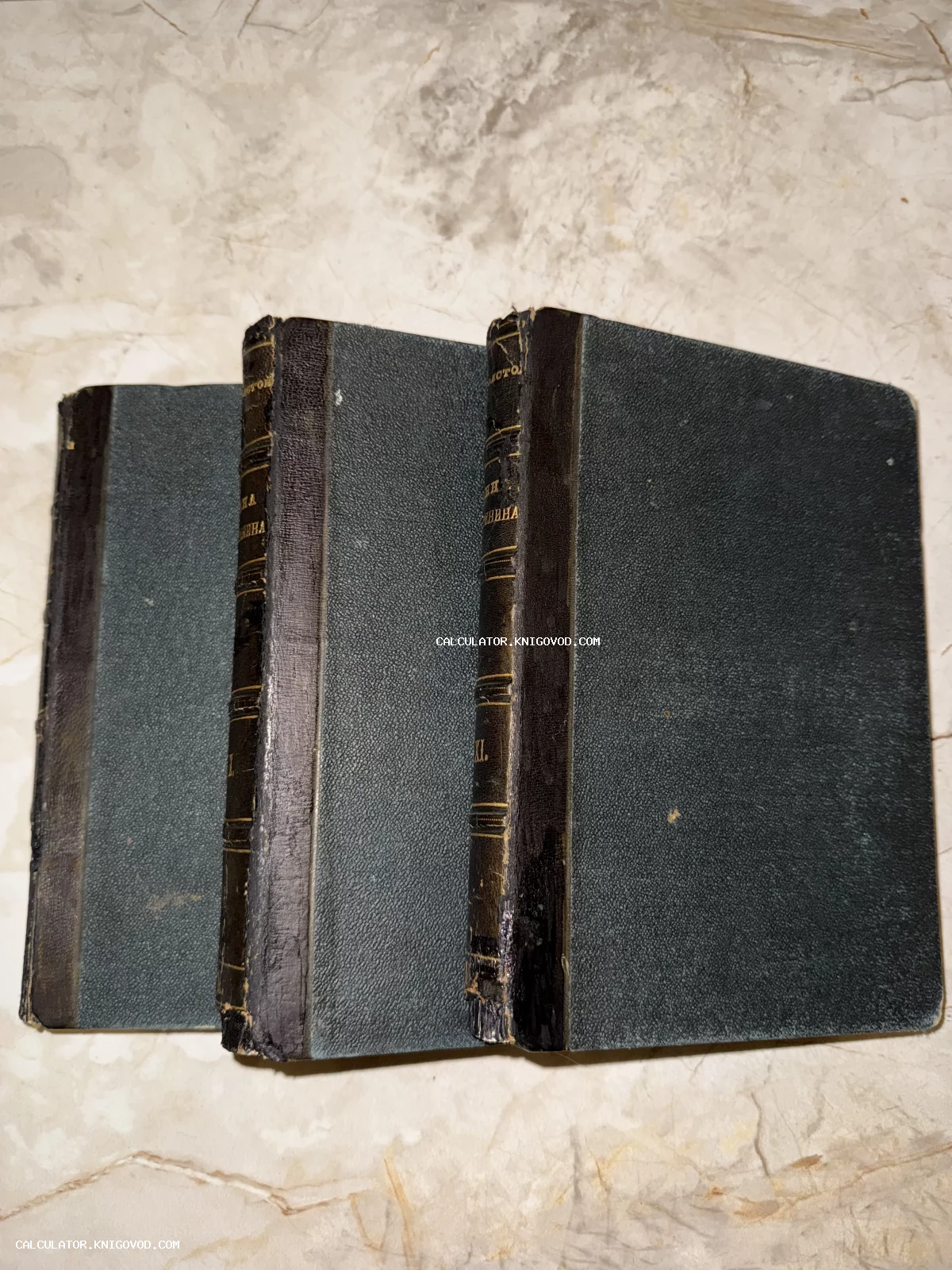 Три антикварные книги в темных полукожаных переплетах с золотым тиснением на корешках, лежащие на светлом фоне.