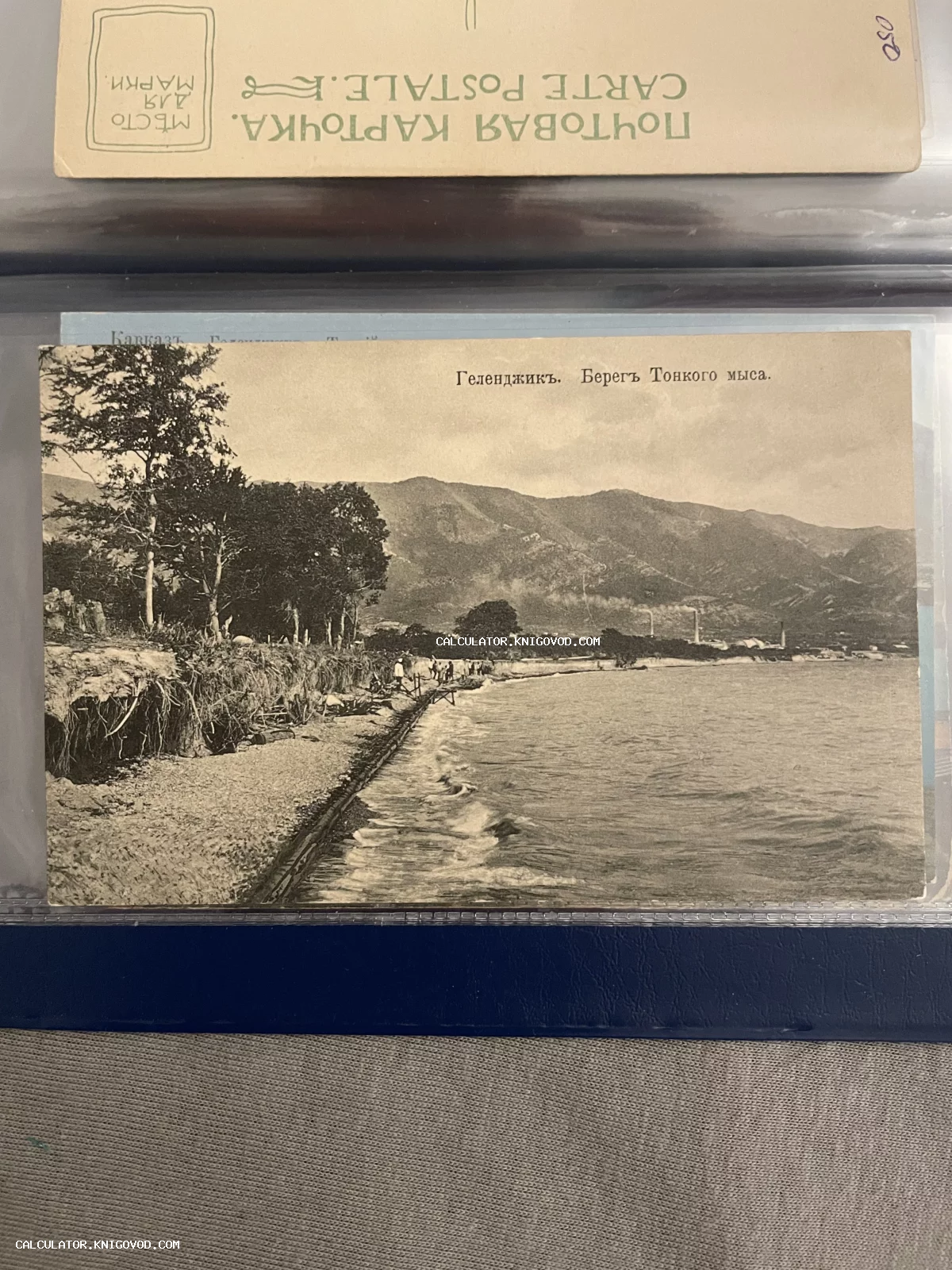 Черно-белая почтовая карточка с видом на морской берег, деревья и горы в Геленджике начала XX века.