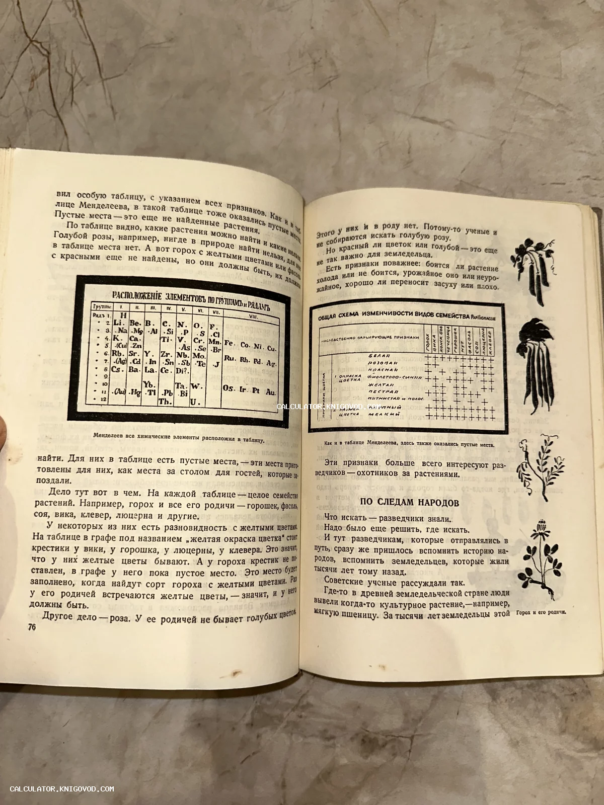 Разворот открытой старой книги с таблицей химических элементов Менделеева и схемой изменчивости видов растений семейства бобовых.