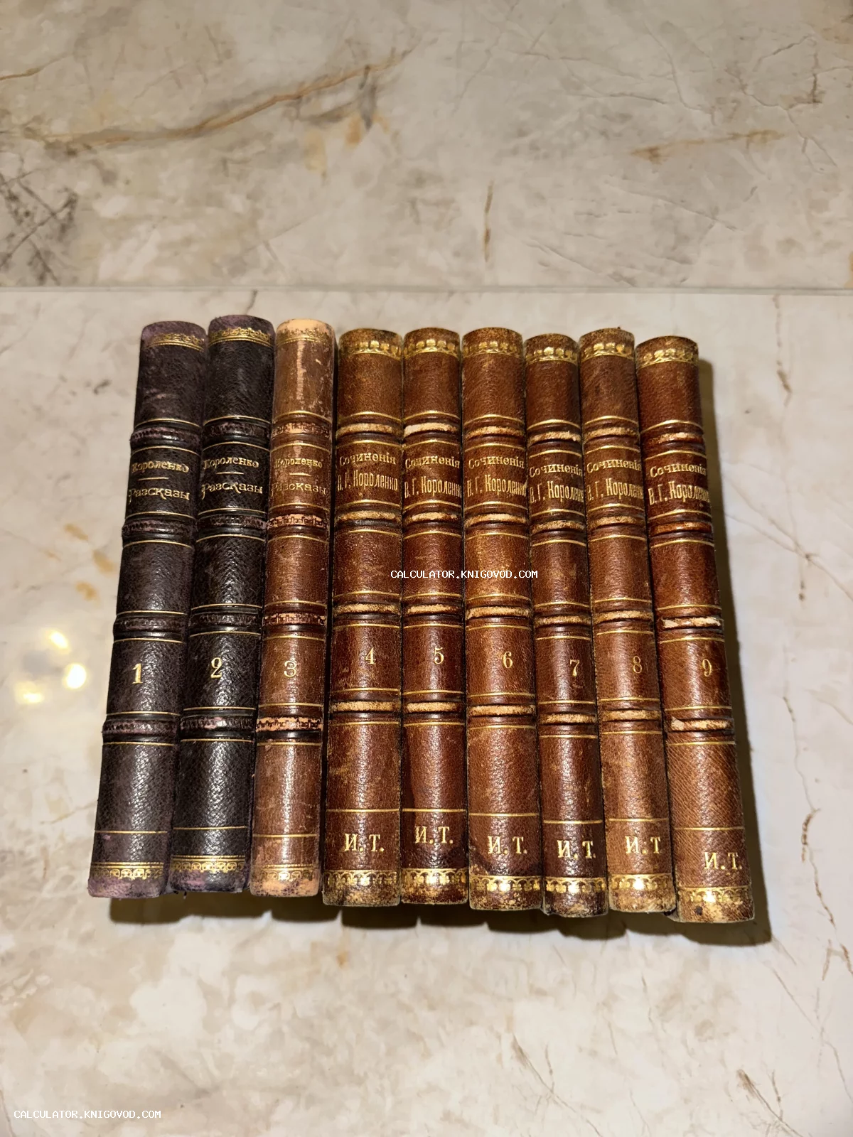 Корешки девяти антикварных книг В. Г. Короленко в старинных кожаных переплетах с золотым тиснением.