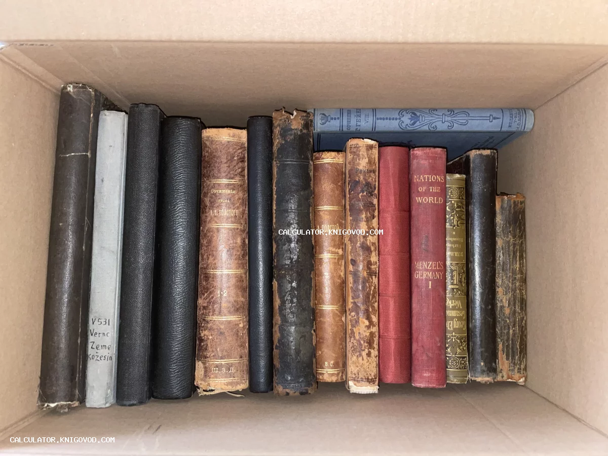 Старинные книги с кожаными и тканевыми корешками стоят в ряд внутри картонной коробки.