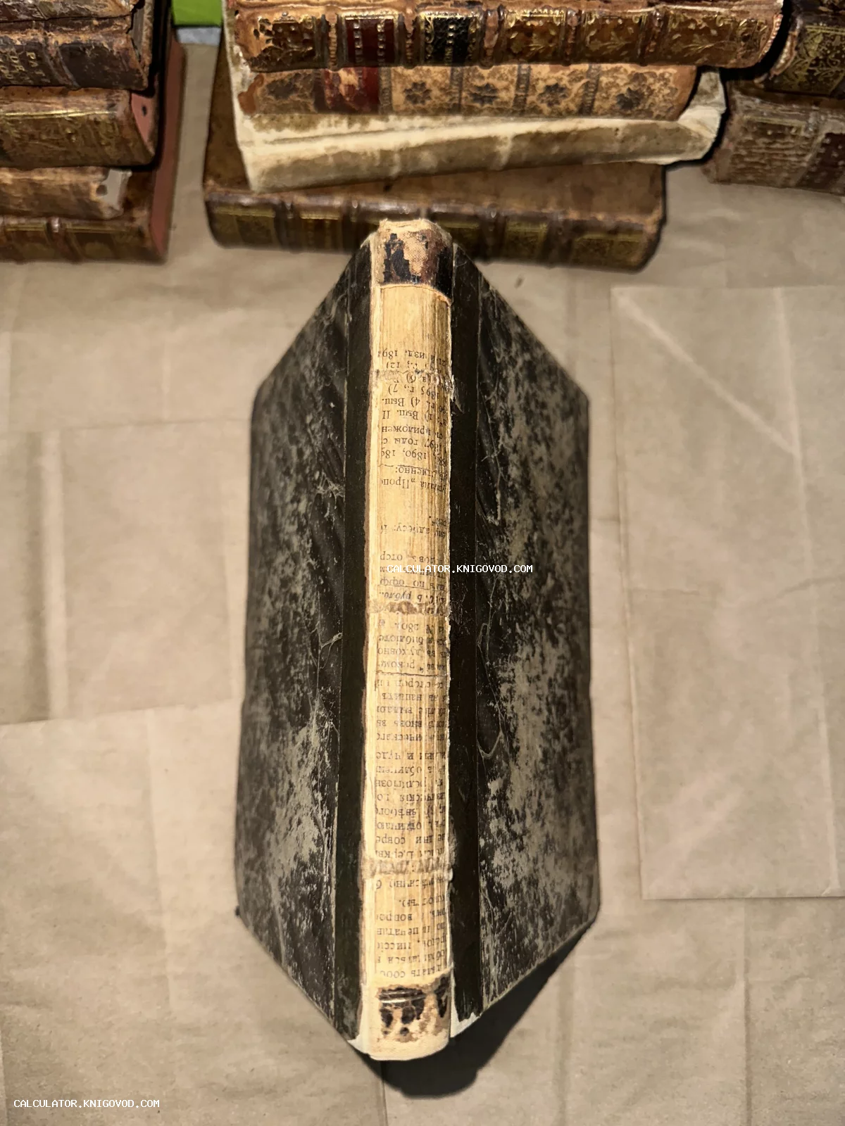 Вид сверху на корешок старинной книги с напечатанным кириллическим текстом и мраморной обложкой на фоне других антикварных фолиантов.