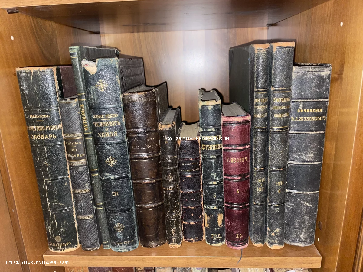 Ряд старинных книг конца XIX — начала XX века на деревянной полке, включая труды Жуковского, Ибсена и ежегодники архитектурного общества.