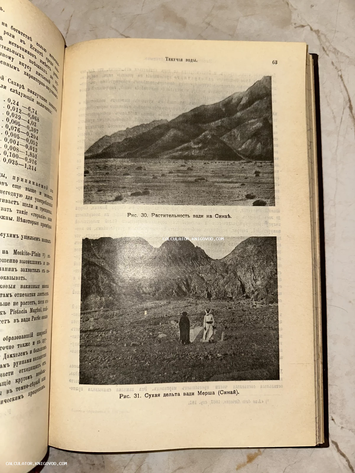 Разворот антикварной книги с черно-белыми фотографиями ландшафтов Синая и текстом на дореволюционном русском языке.