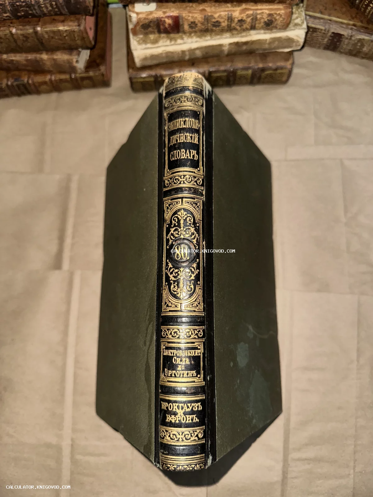 Корешок антикварной книги Энциклопедический словарь Брокгауза и Ефрона с золотым тиснением на кожаном переплете.