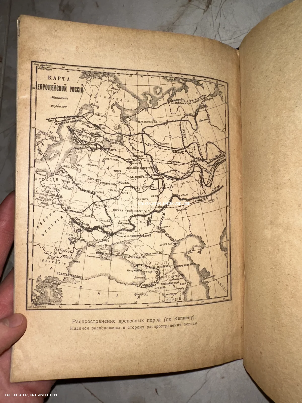 Страница из старинной книги с черно-белой картой Европейской России, на которой отмечены границы ареалов различных деревьев по Кеппену.