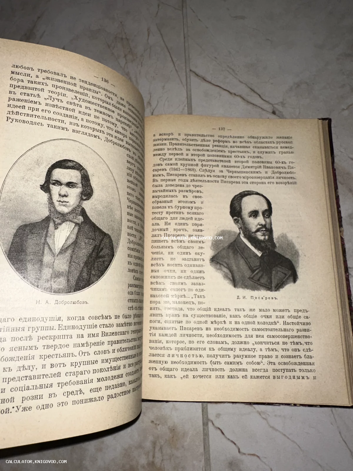 Разворот старинной книги с портретными гравюрами русских литературных критиков Добролюбова и Писарева и дореволюционным шрифтом.