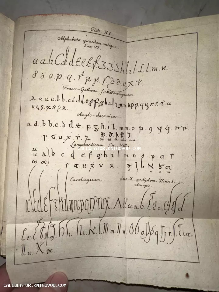 Гравюрная таблица с образцами латинских шрифтов VI-X веков: меровингский, англосаксонский, лангобардский и каролингский стили.