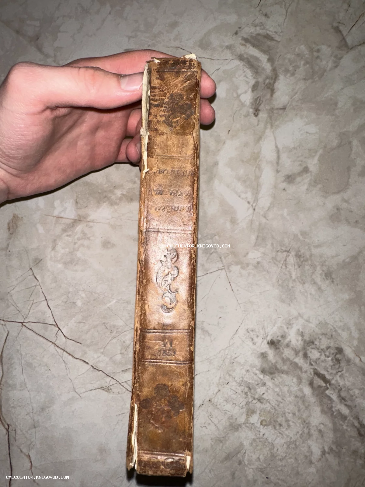 Корешок антикварной книги в потертом кожаном переплете с золотым тиснением и датой 1851.
