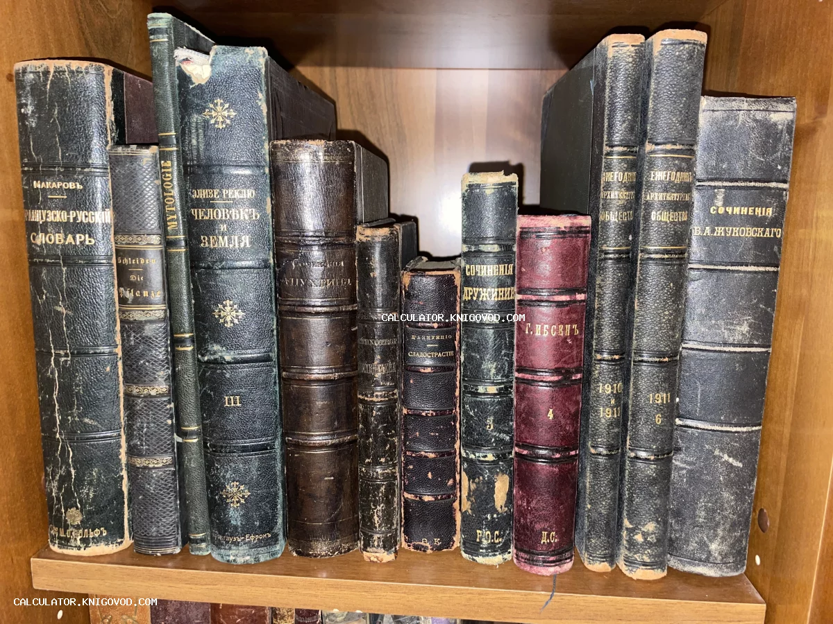 Ряд старинных книг с потертыми корешками на деревянной полке. Видны названия на русском языке с дореволюционной орфографией, включая труды Жуковского, Ибсена и Реклю.