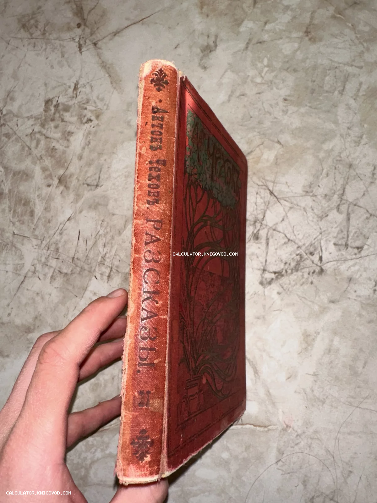 Дореволюционное издание книги Антона Чехова «Рассказы» в красном переплете с орнаментом в стиле модерн.