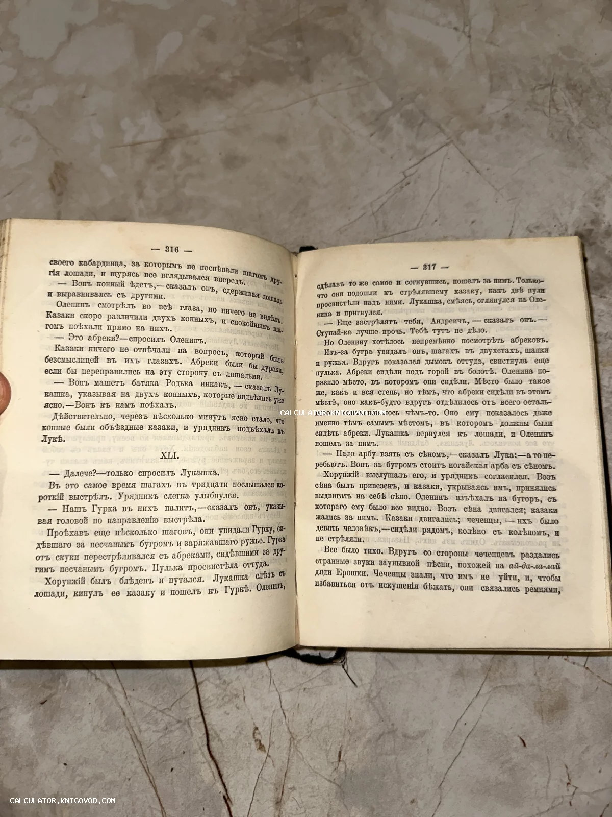 Разворот старинной книги на страницах 316 и 317 с текстом на дореволюционном русском языке.