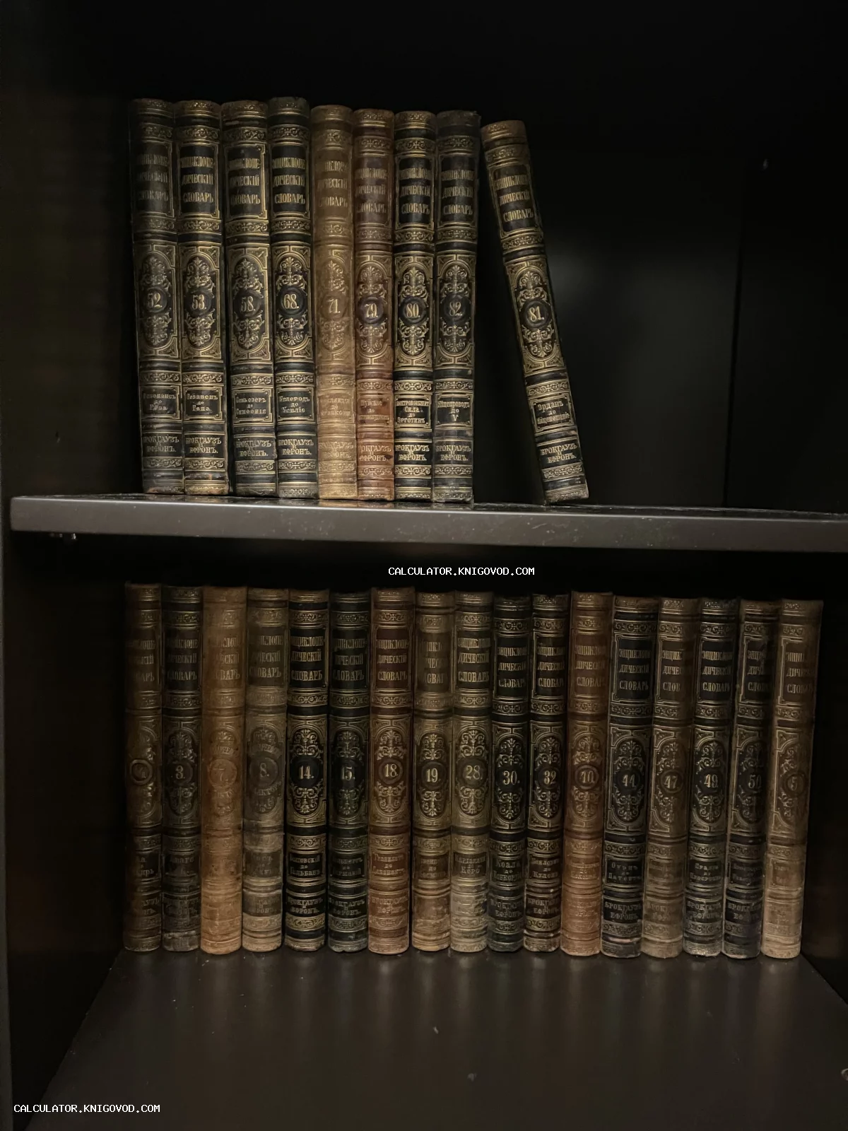 Старинные тома Энциклопедического словаря Брокгауза и Ефрона с золотым тиснением на темных книжных полках.