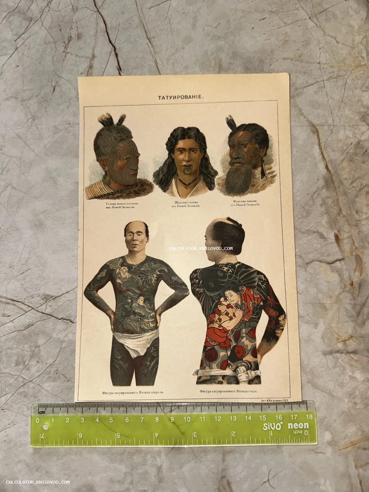 Цветная старинная литография с изображением лиц маори с татуировками и японца с татуировками во весь рост спереди и со спины.