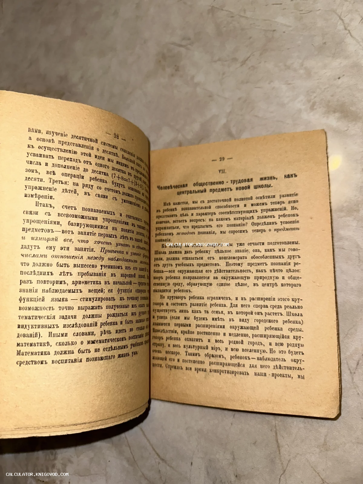 Разворот старой книги с текстом на дореволюционном русском языке, страницы 28 и 29.
