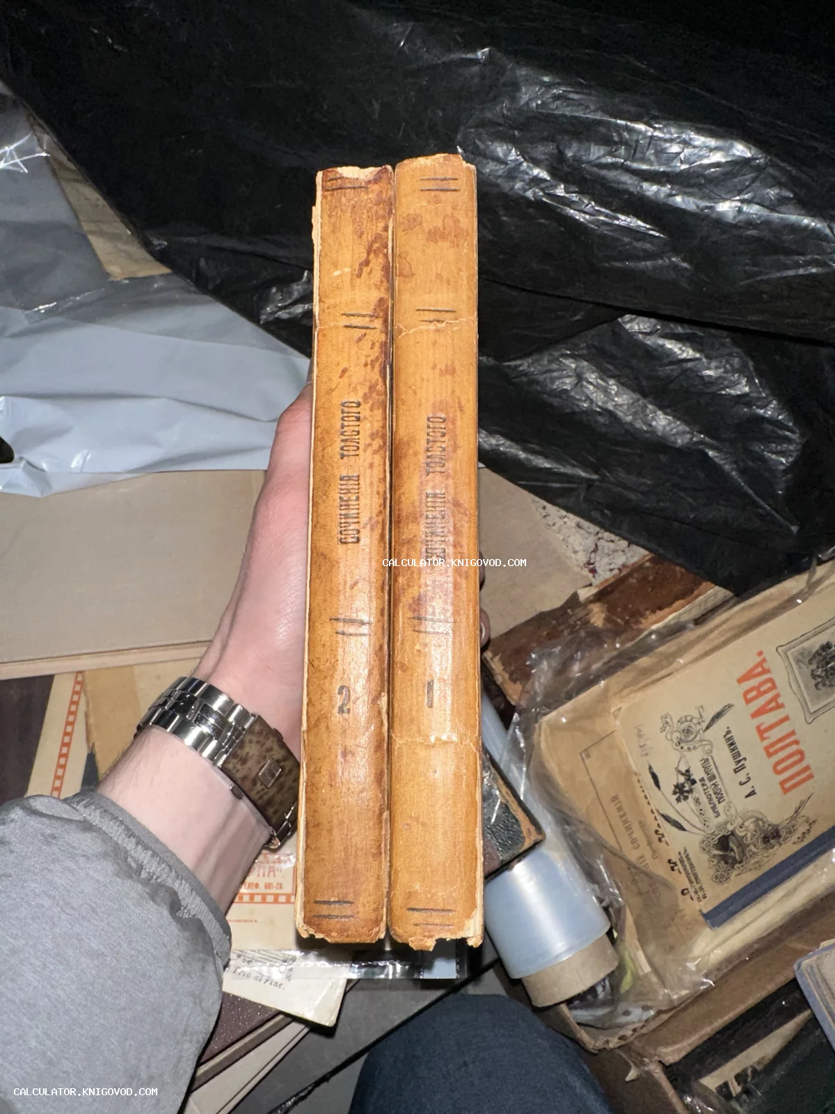 Два тома старинных книг Льва Толстого в мягком переплете, вид на корешки.