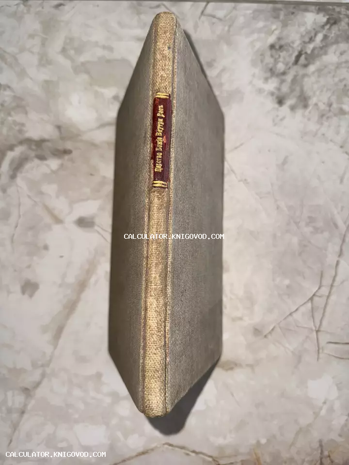 Корешок старинной книги в сером тканевом переплете с красным кожаным ярлыком и золотым тиснением названия на дореформенном русском языке.